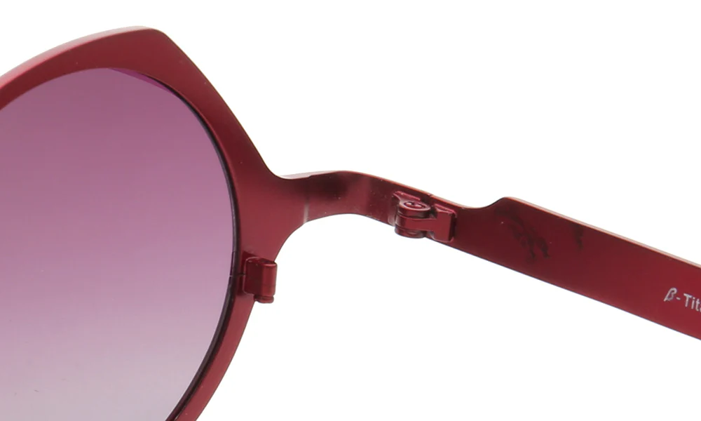 Carmen | Polarized Pure Titanium Unisex Sunglasses | Fashionable Full Rim Frame w/ Polarized Lenses - Image 12