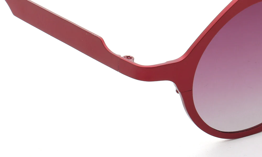 Carmen | Polarized Pure Titanium Unisex Sunglasses | Fashionable Full Rim Frame w/ Polarized Lenses - Image 13